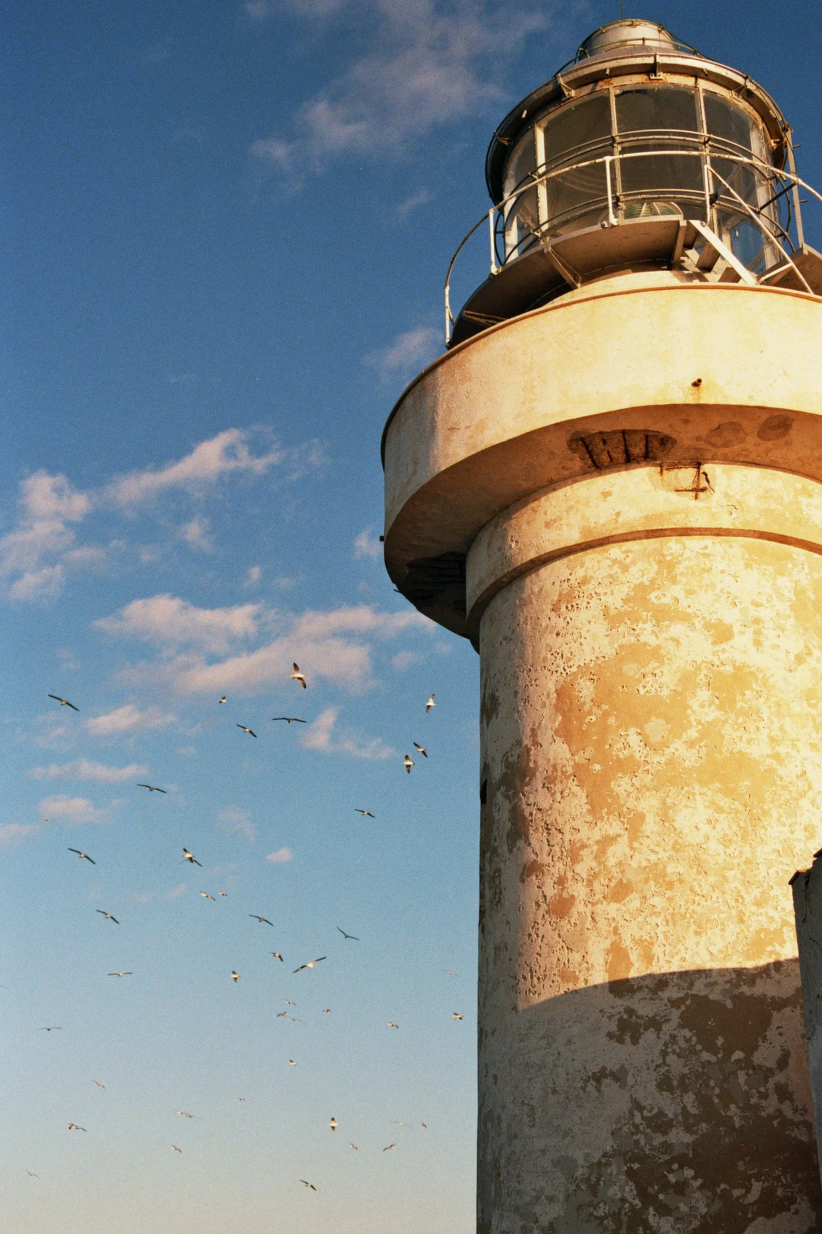 21A_02175.JPG