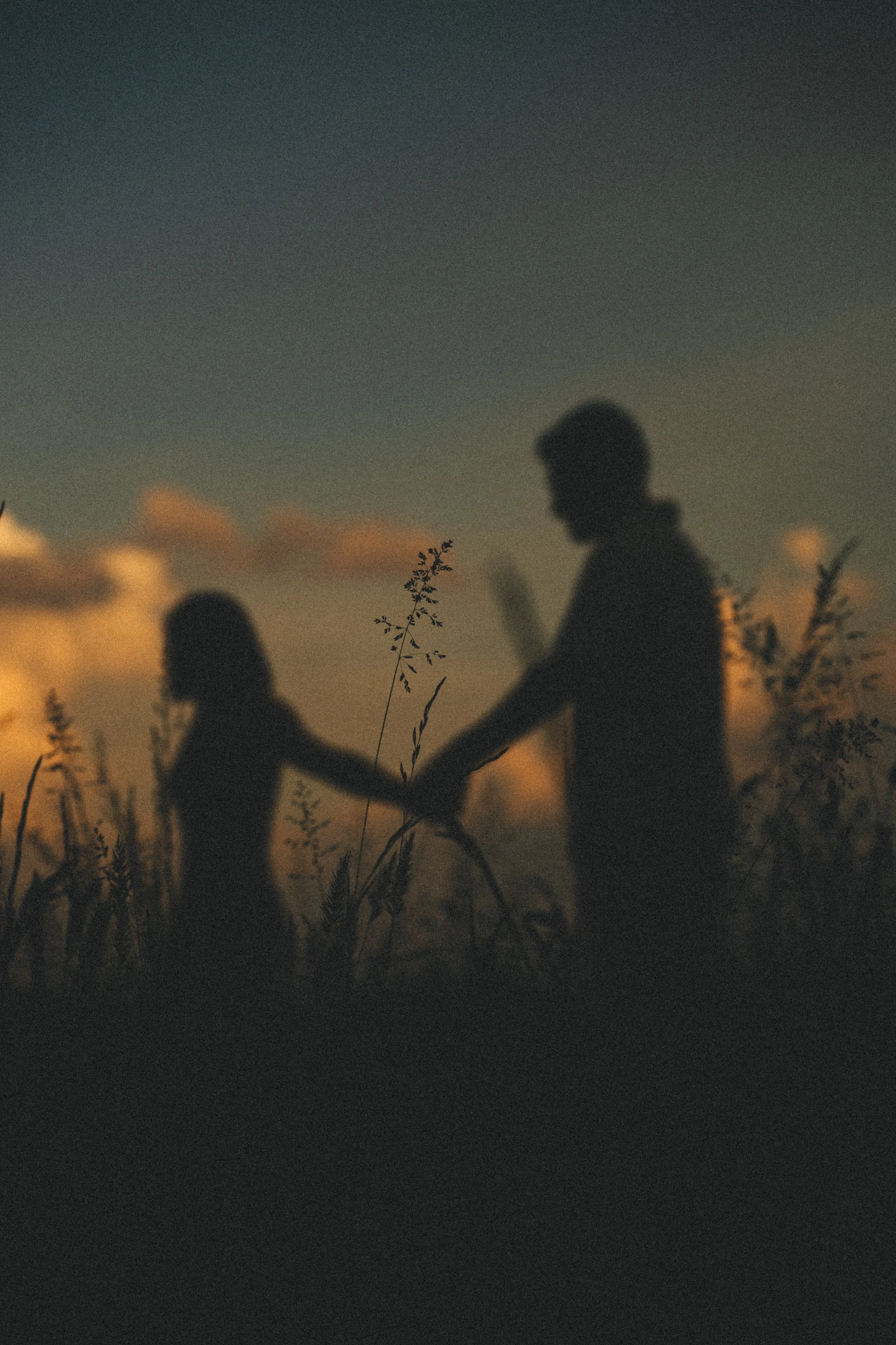 Ombre di due persone che si tengono per mano nel campo, con un cielo al tramonto sullo sfondo.