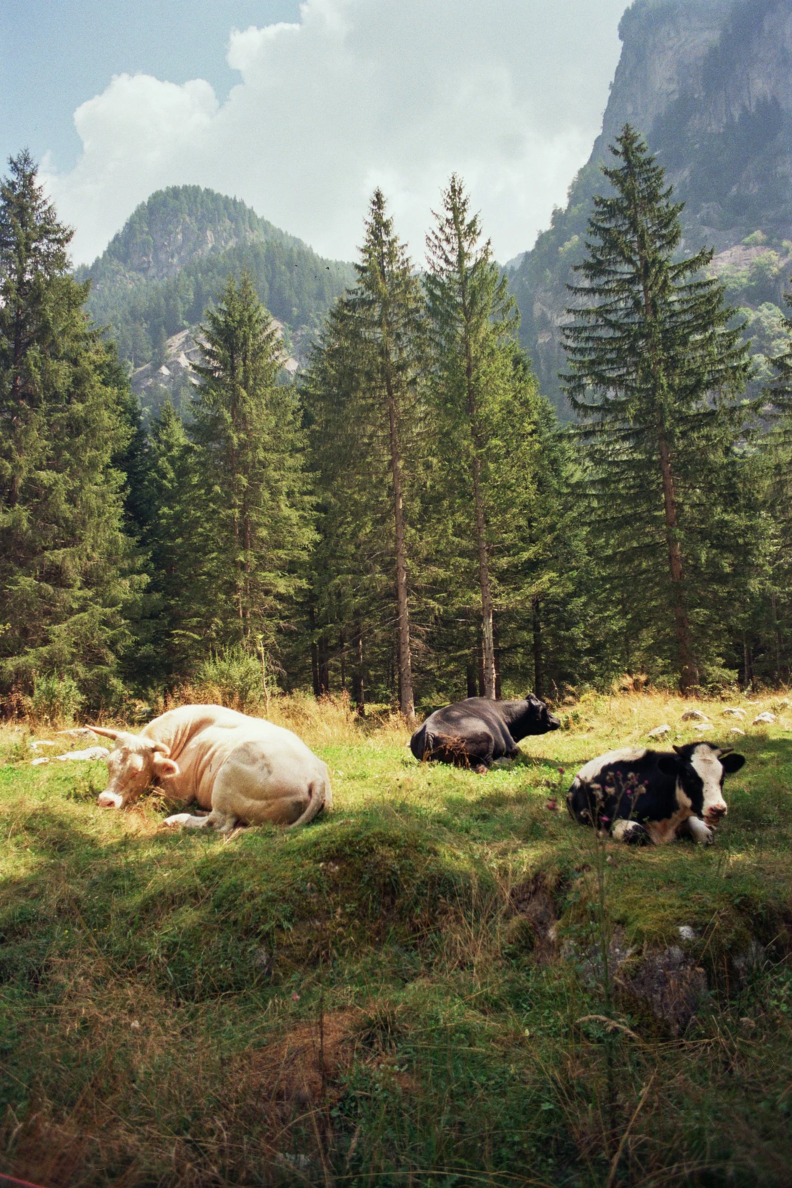 _6A_01003.JPG