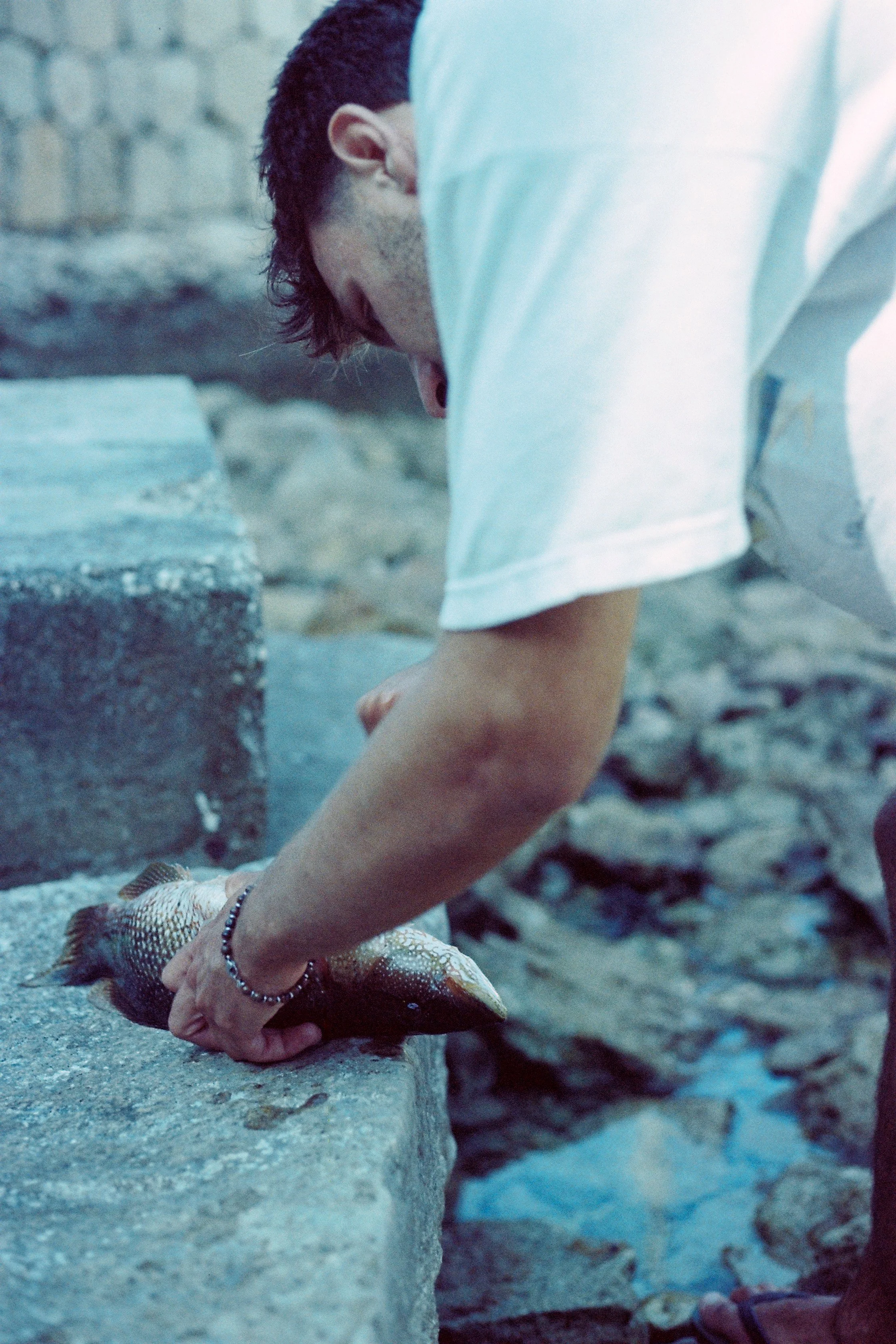 F1980014.JPG