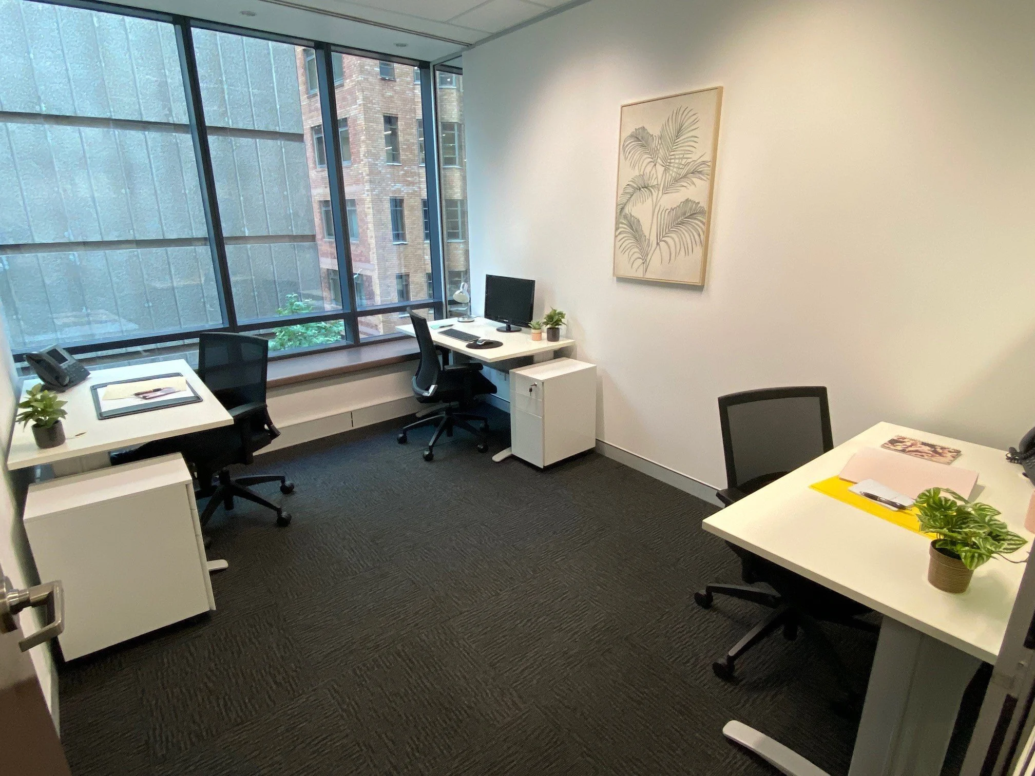 A private office at 115 Pitt Street, Sydney CBD with white desks, black chairs, a computer monitor, potted plants, and a large window with a view of neighboring buildings. There is a framed botanical artwork on the wall.