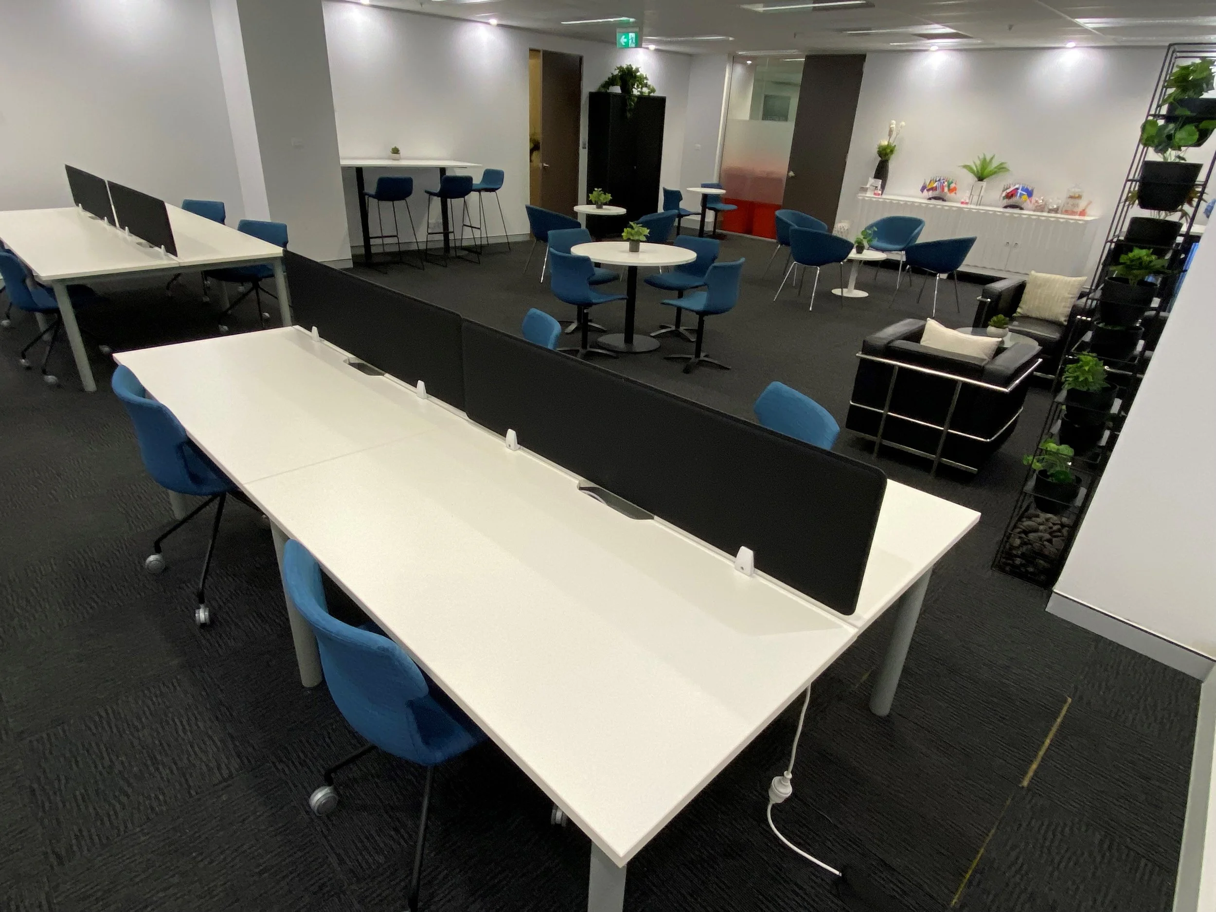 A modern office lounge area with various seating arrangements including blue chairs, white tables, and a black sofa with cushions. There are also plants and decorative items on shelves along the wall.