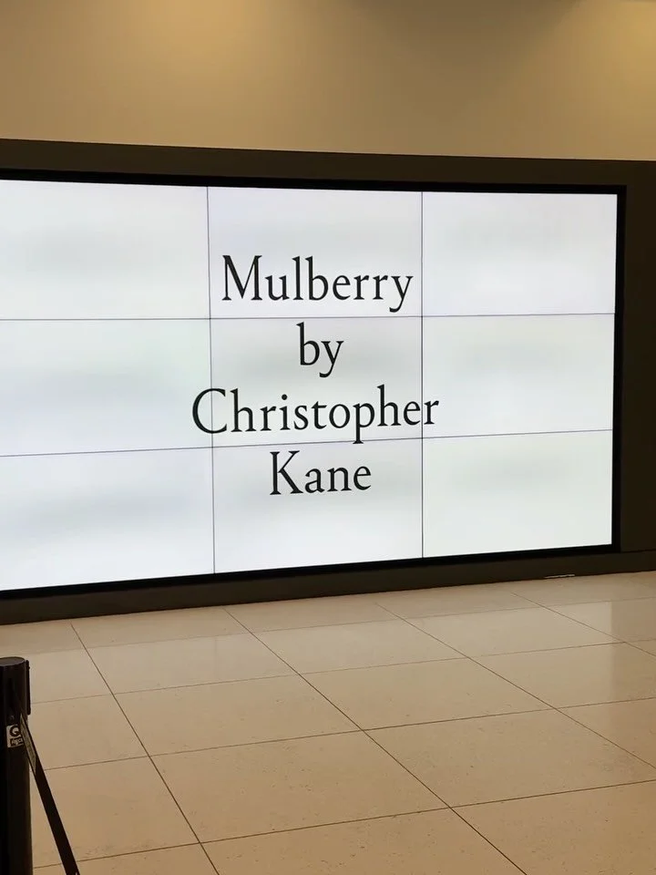 The fashion event I&rsquo;ve been waiting for @mulberrybychristopherkane I loved every piece from the collection and here are my highlights that I&rsquo;m adding to my shopping list! Also the shoes were DIVINE - totally iconic! Wearing @kanechristoph