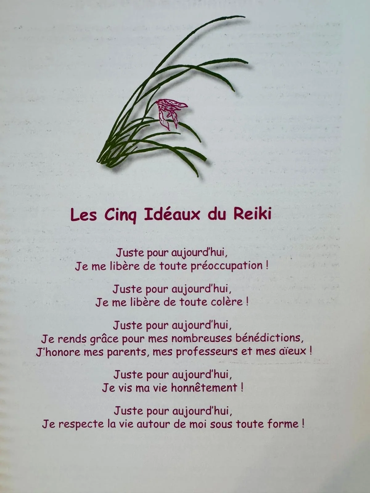 Une feuille avec un dessin de plante verte et un texte en français sur le développement personnel et la gratitude. Le titre est « Les Cinq Idéaux du Reiki ».