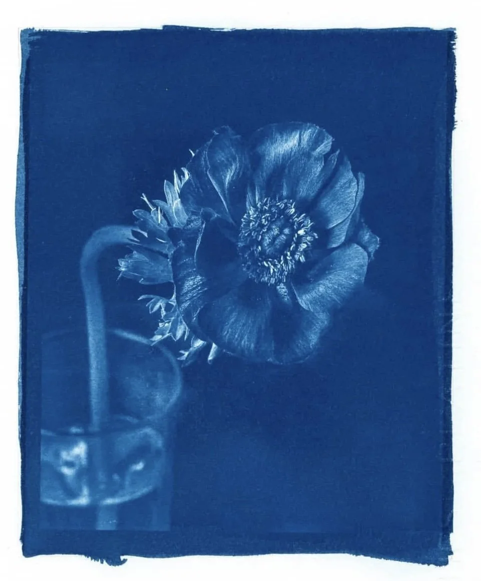 Cyanotype Flower print