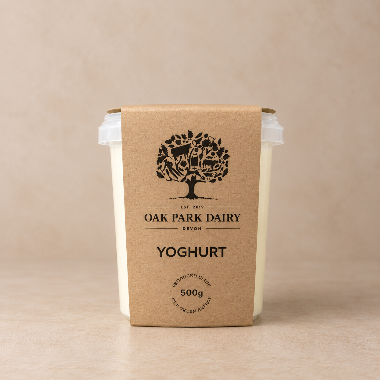 Yoghurt 500g.png