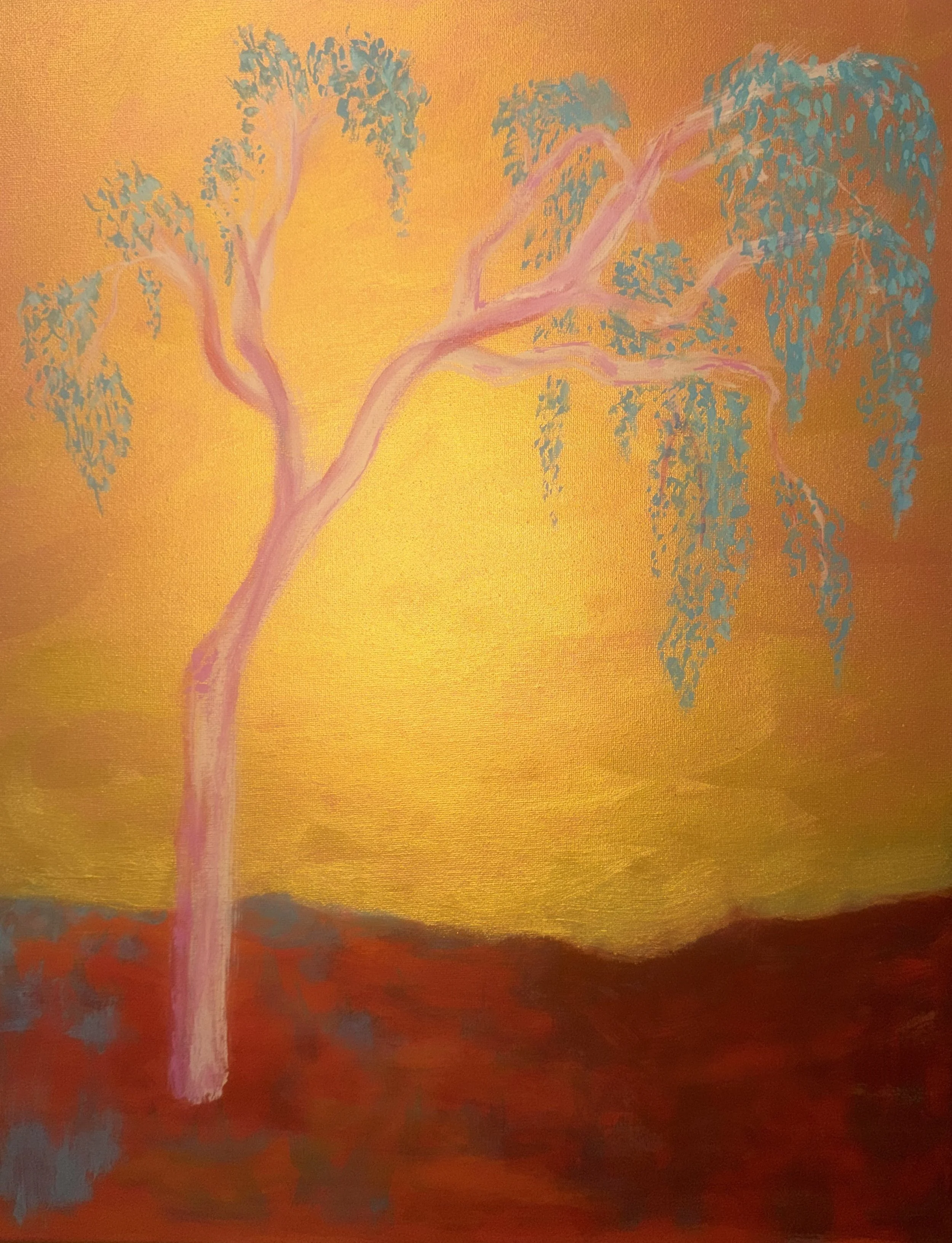 Pale Gum, 2026