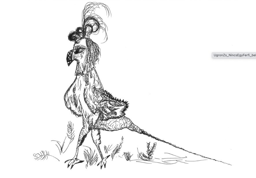Bird.jpg