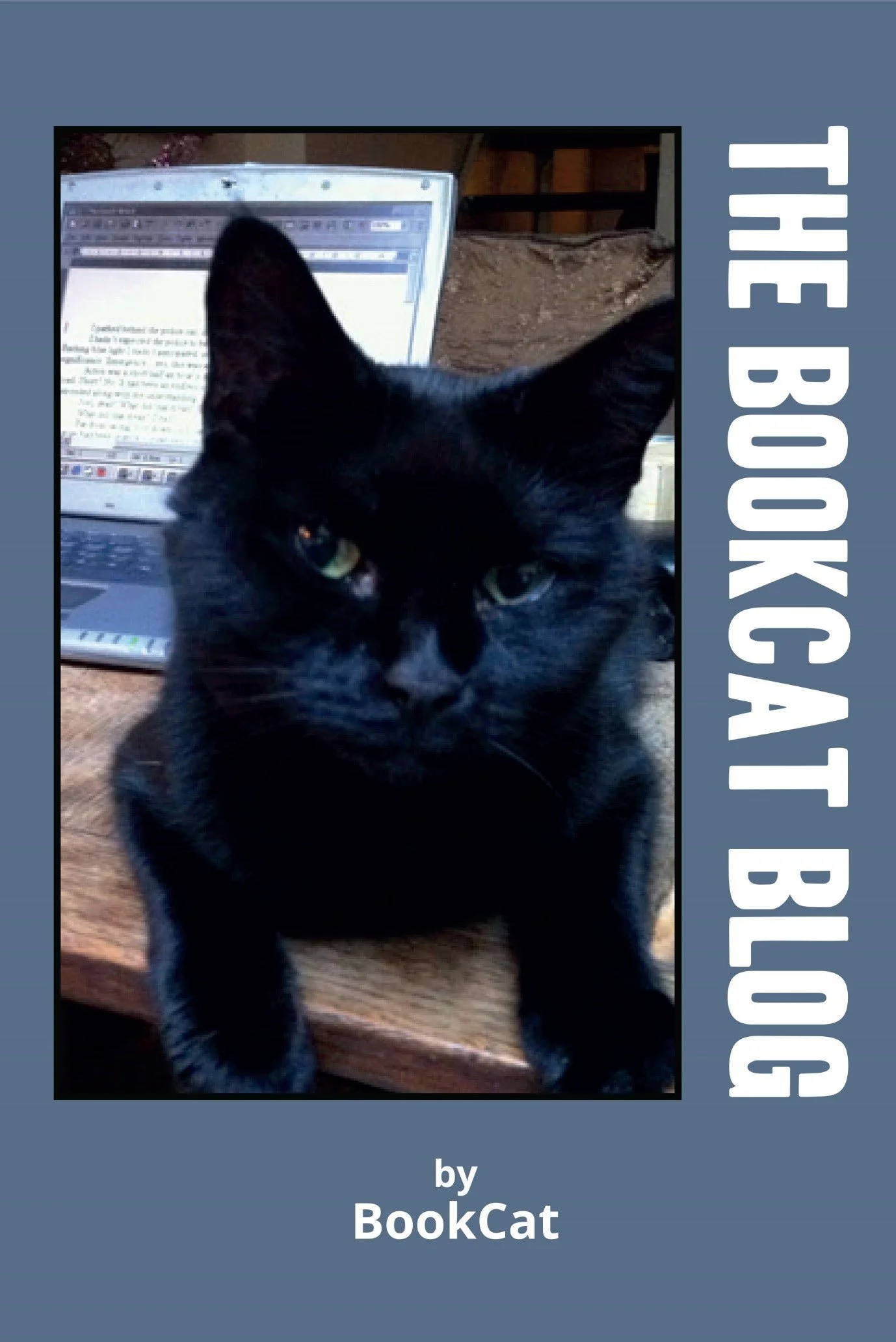 The BookCat Blog