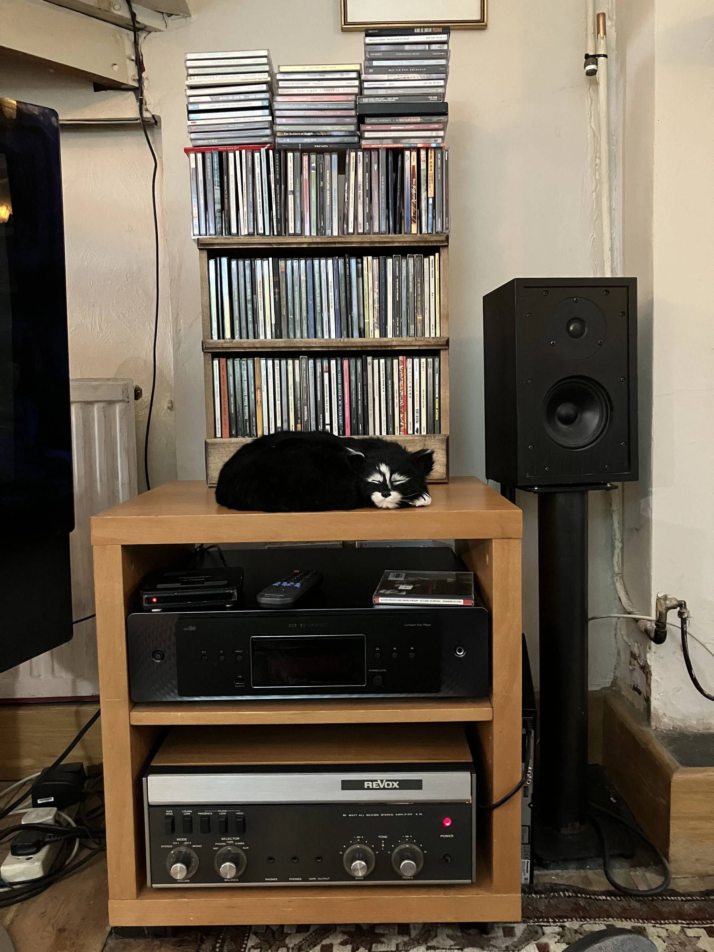 Welcome to BookCat Listens