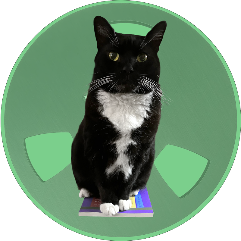 Black and white tuxedo cat sitting on a book on a green background