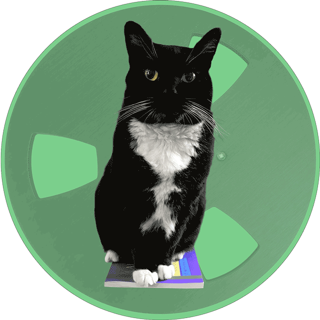 BookCat Reads blog. A black and white cat sitting on a book in front of a large green vintage tape reel.