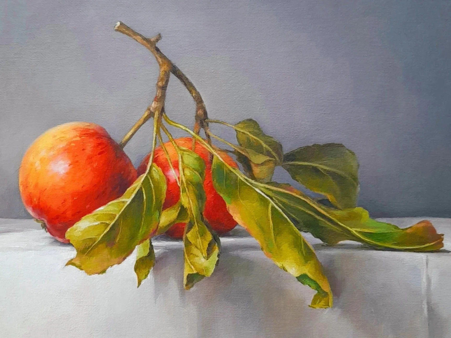 Oil painting of red autumn apples on a branch with green and yellow leaves, resting on a white surface against a grey background, in a contemporary realism style. By Artist Amanda Selway