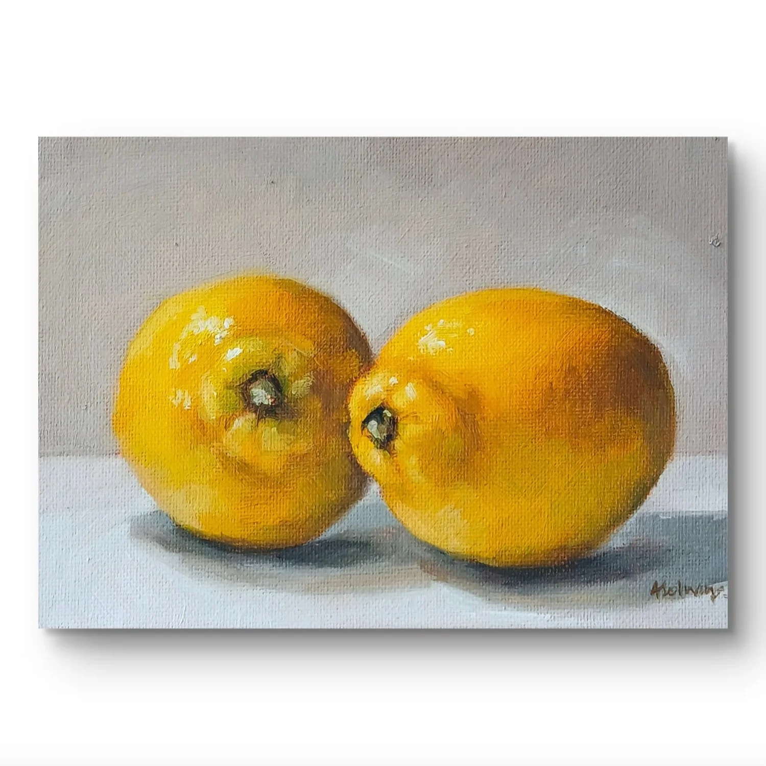 Two Lemons | Original Oil Painting | 7x5in