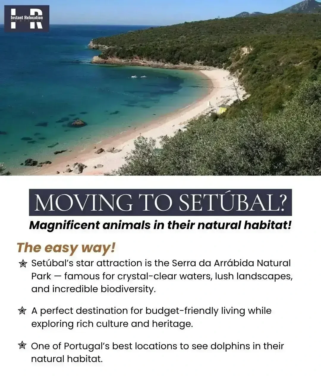 Moving+to+Setu%CC%81bal+-+Instant+Relocation+Portugal.webp