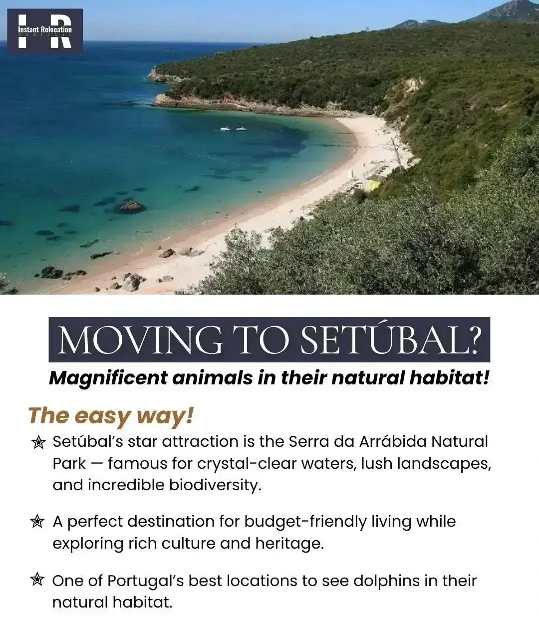 Moving+to+Setu%CC%81bal+-+Instant+Relocation+Portugal.webp