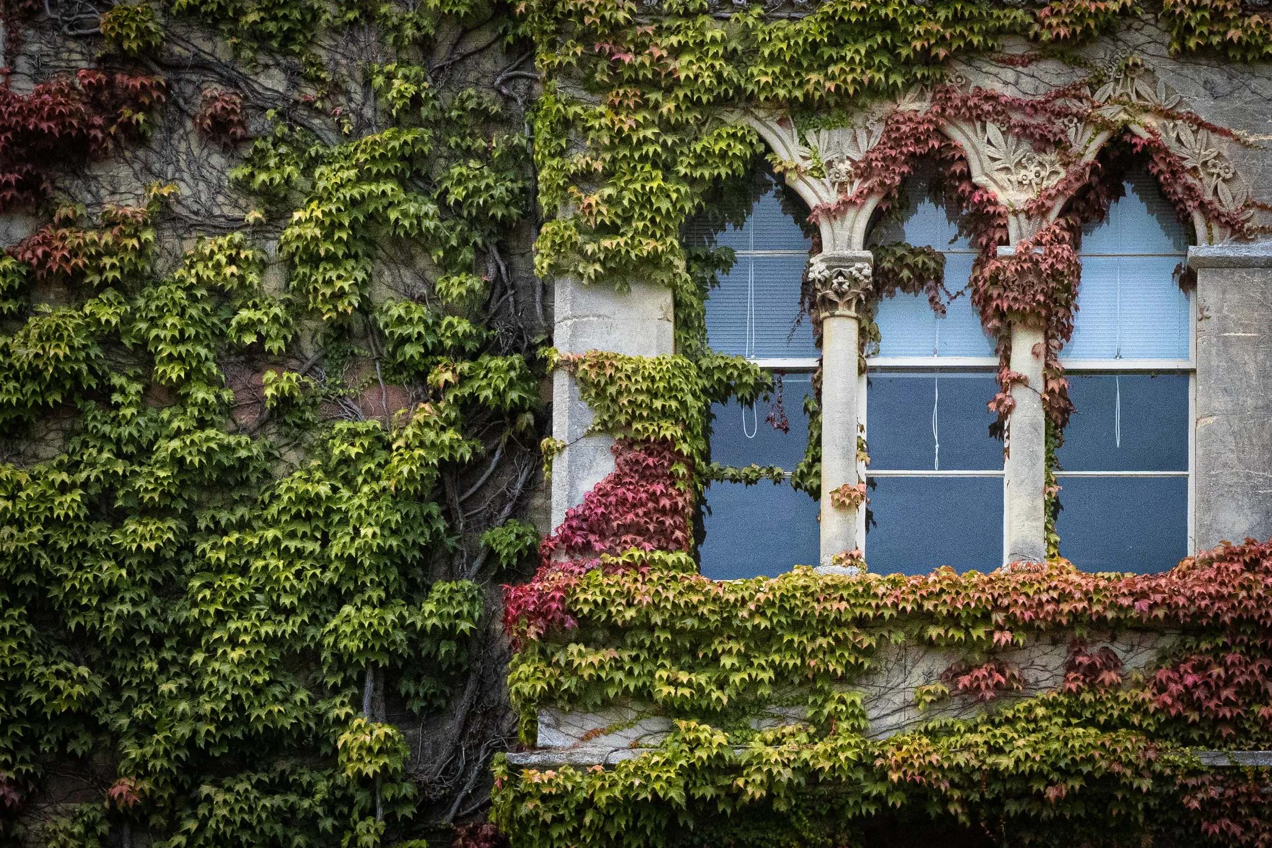 architecture-3.jpg