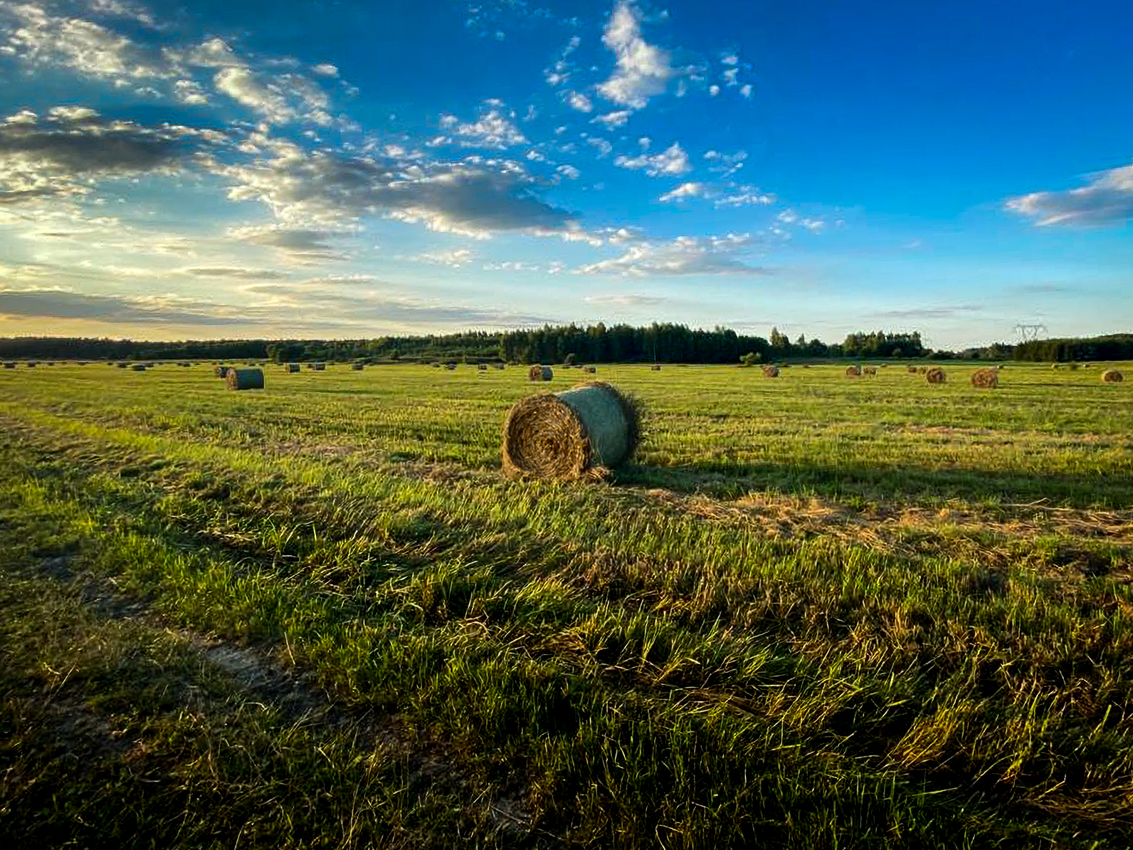 Panorama malowniczych łąk w Bieszczadach z rozstawionymi balotami świeżo zebranego siana łąkowego RAWECO.