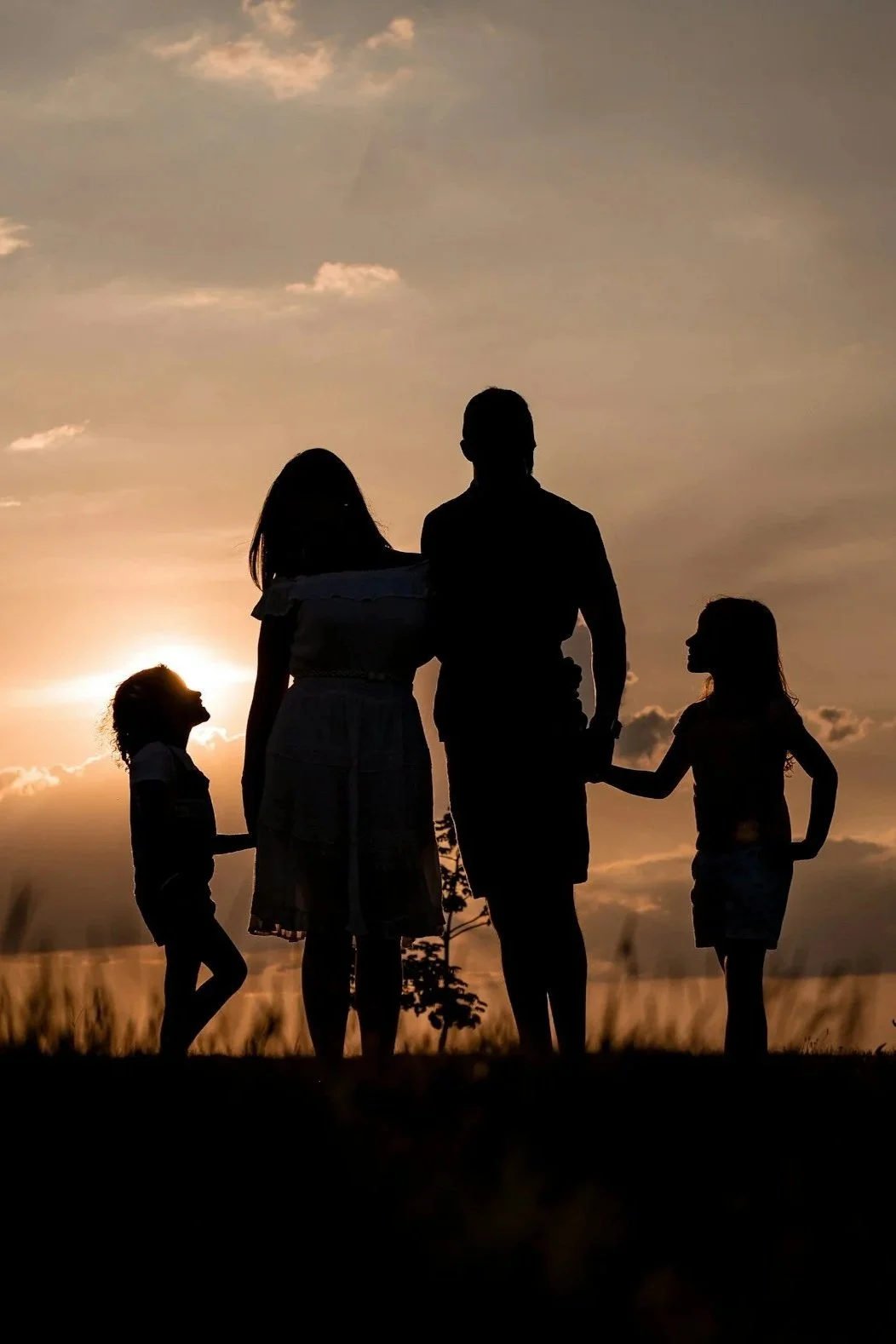 Silhouettes of a family of five holding hands in a field during sunset, with a partly cloudy sky.