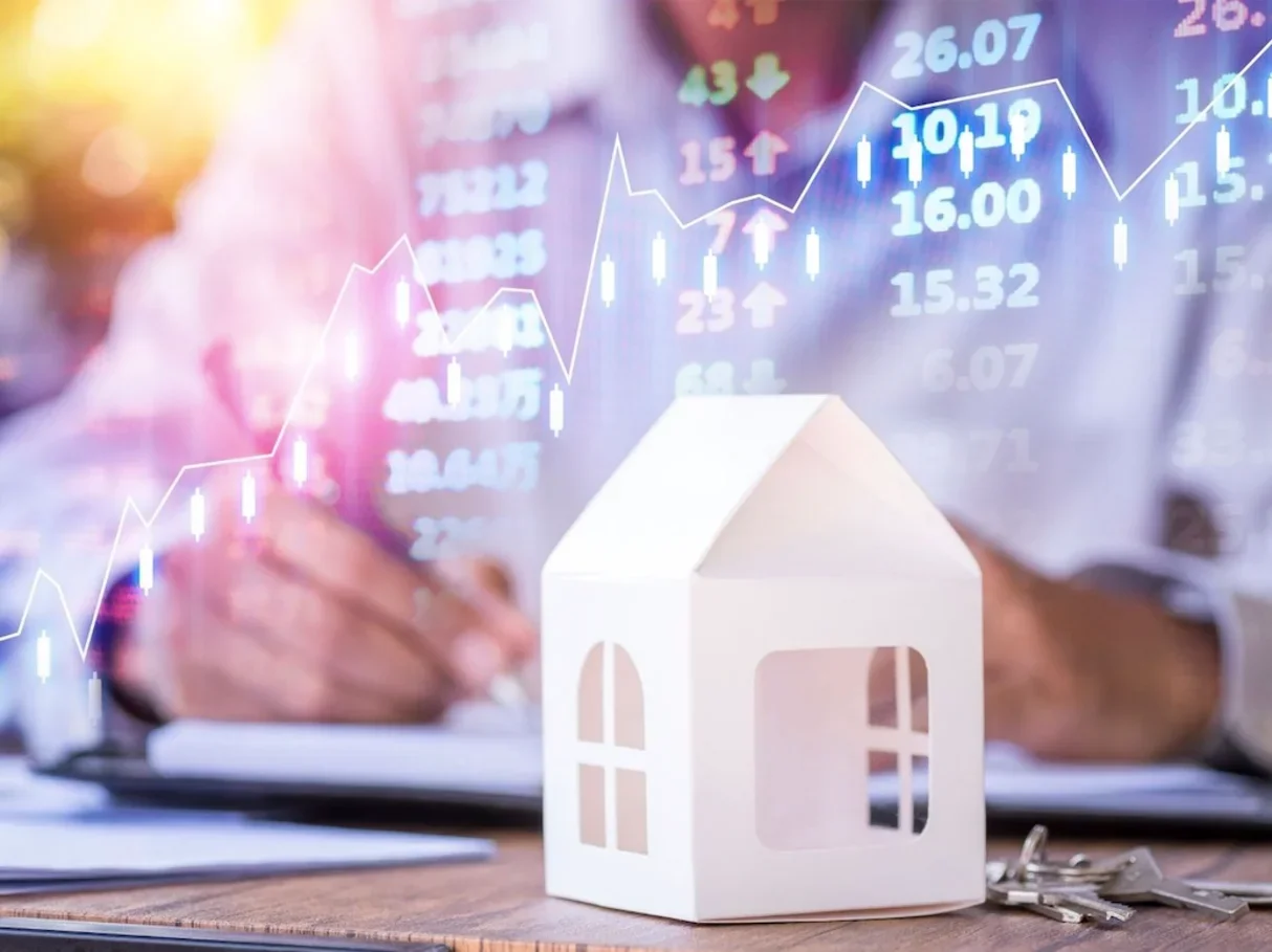 What Drove the Recent Boom?