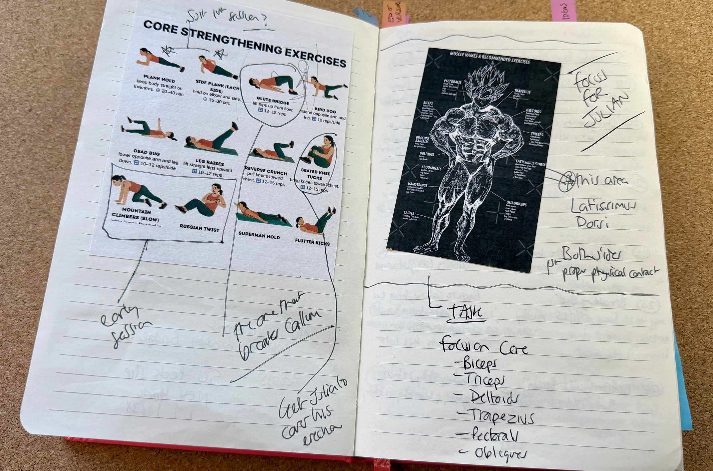 Exercise research - I'm built for comfort, not speed, so I had to do a lot of research on this.