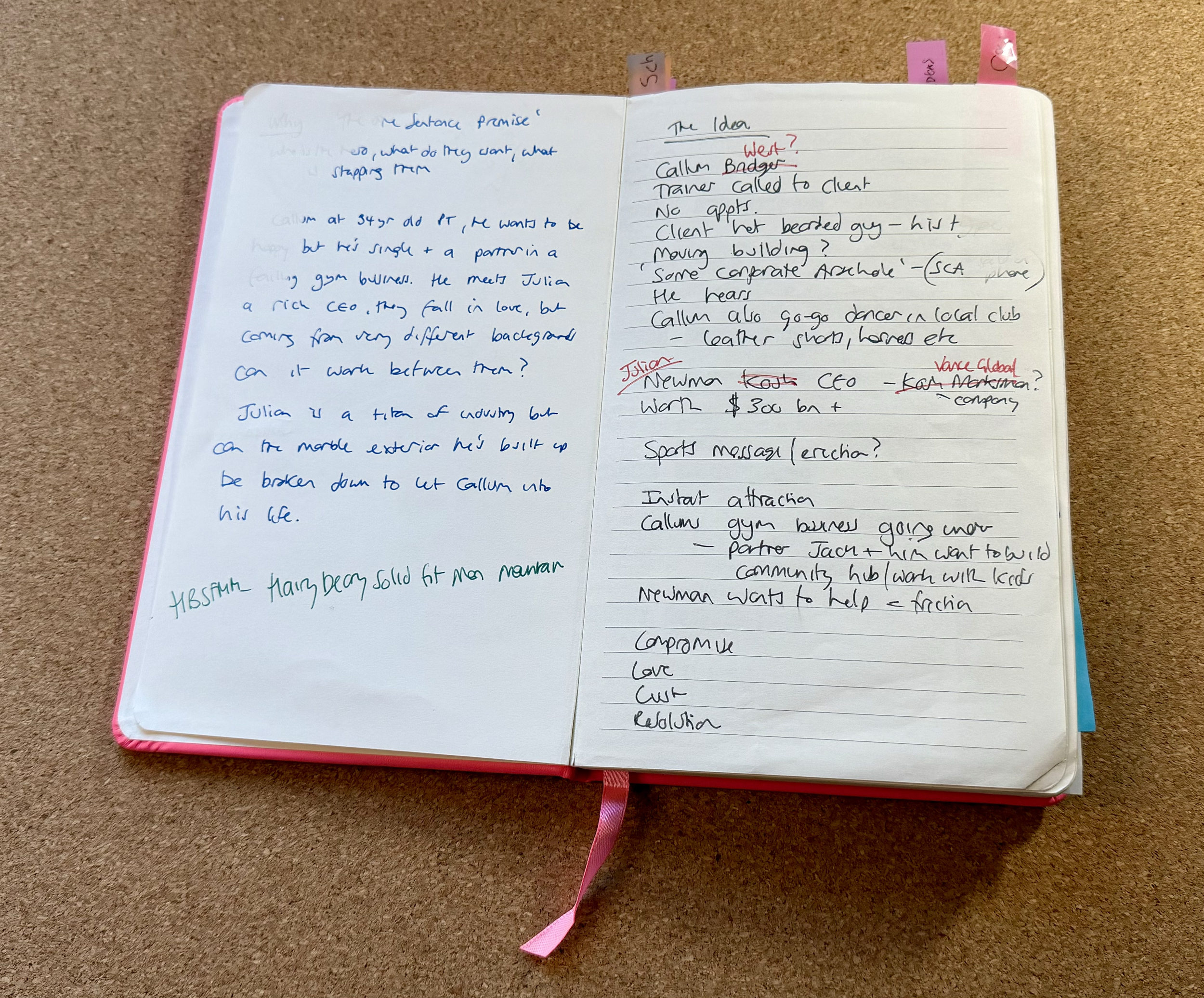 The premise / idea page