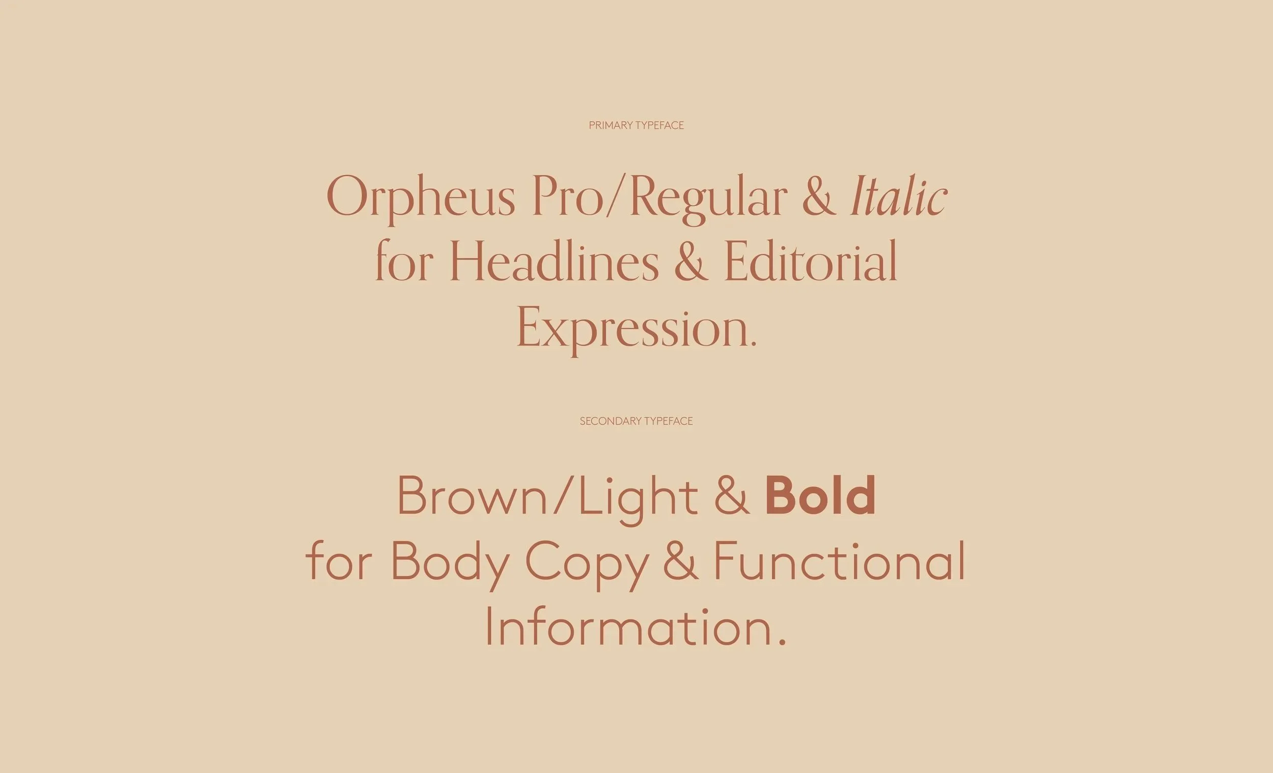 Behance+Portfolio+HC_TYPO.jpg