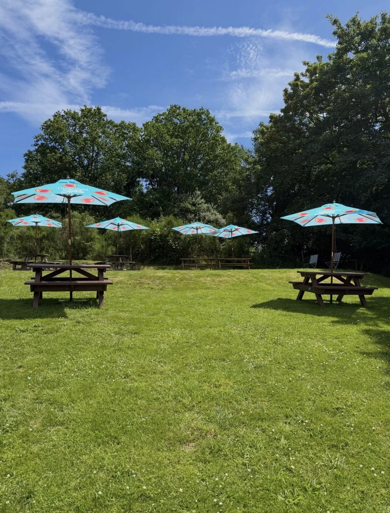 Our Pub Garden