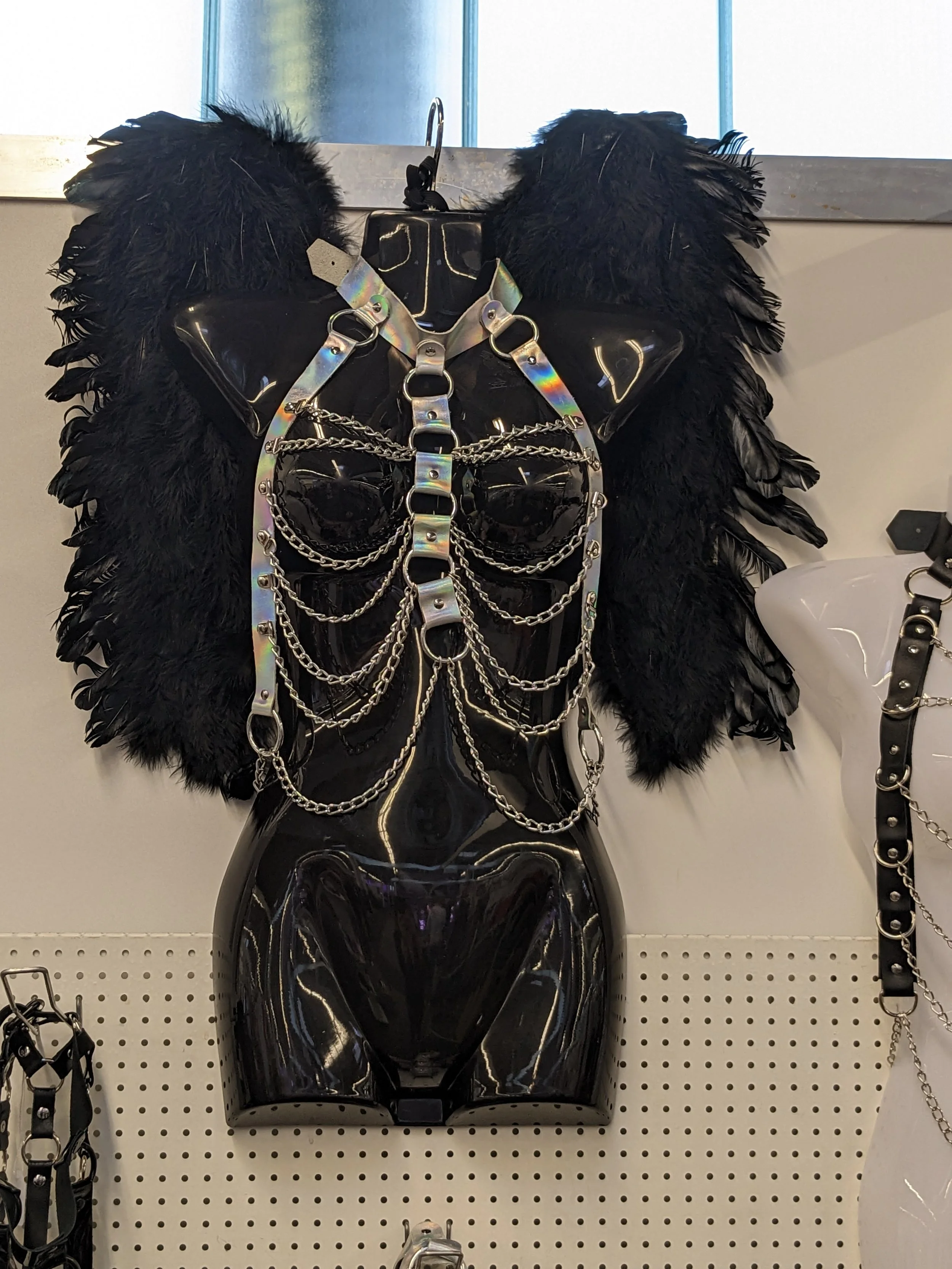PXL_20230310_135555388.jpg