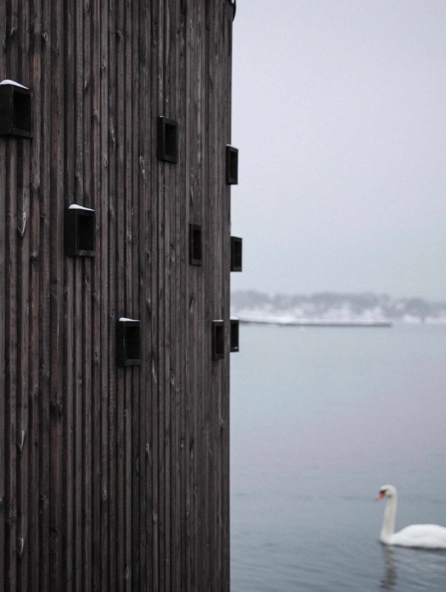 borhaven, arkitektur, badstue, sauna, treverk, gjenbruk, ACT, Egil Larsen