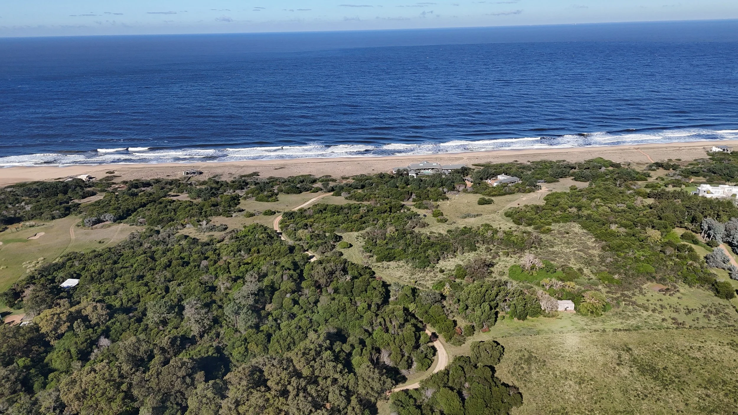 dji_fly_20260615_115408_0928_1781537847731_photo.JPG