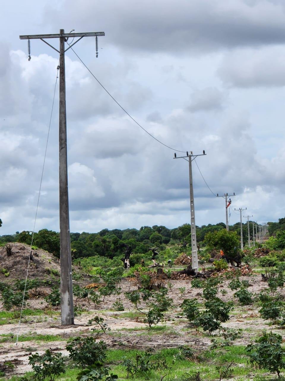 Campos agrícolas com árvores, postes de energia elétrica alinhados sob céu nublado.