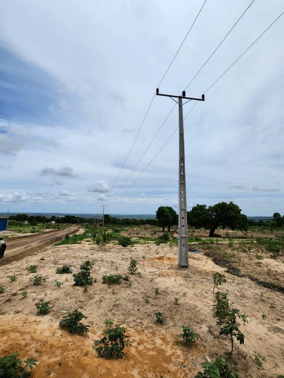 Poste de luz em uma área com plantações de pequeno porte sob céu nublado.