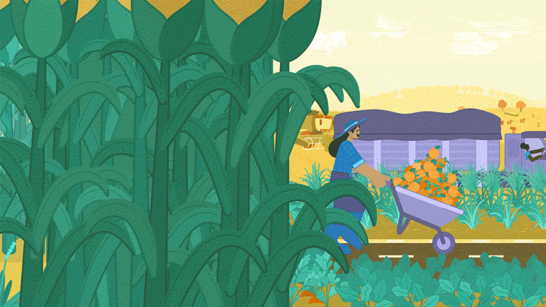 A woman wearing a hat and sunglasses pushing a wheelbarrow filled with oranges in a farm, surrounded by green leafy plants and crops, with a yellow sky background.