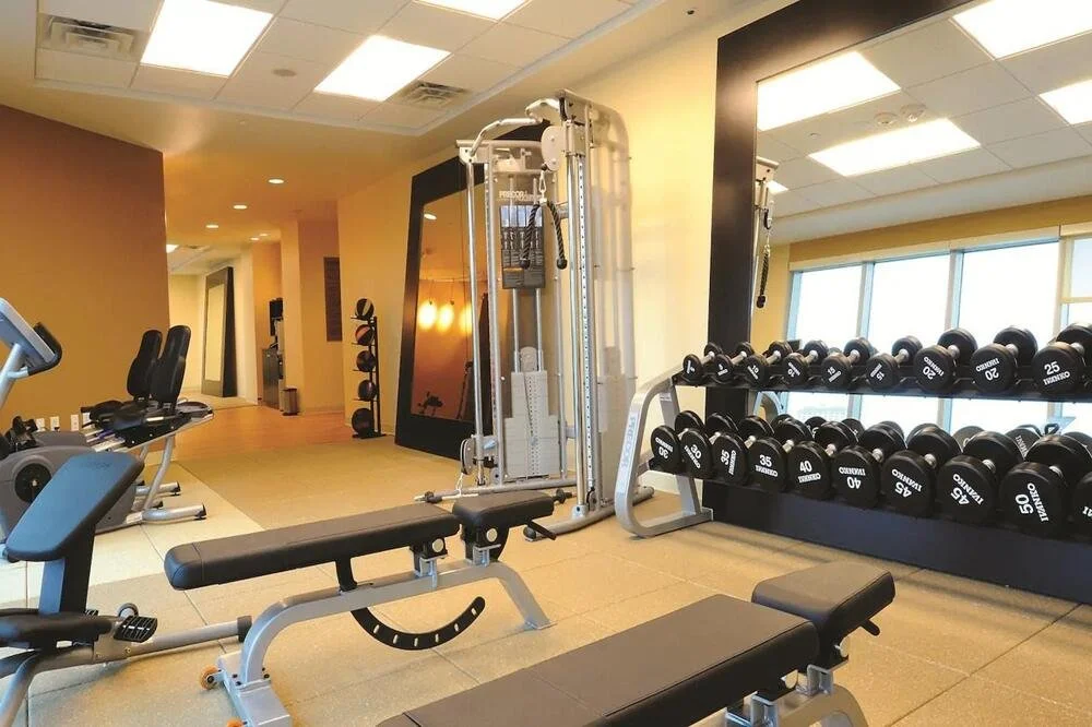 Inside a modern gym with various exercise equipment, including a weight bench, dumbbell rack, seated chest press machine, and a cable pulley machine, near large windows with natural light.