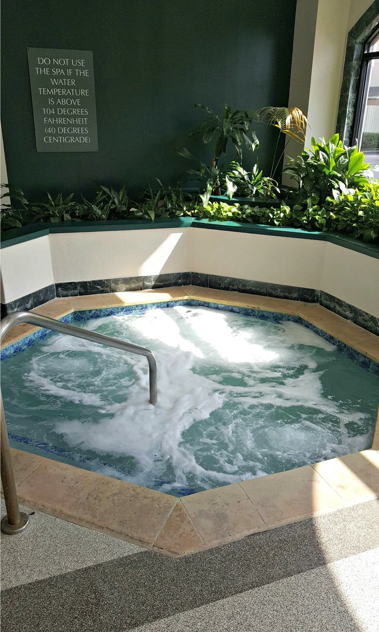 Indoor hot tub with bubbles, surrounded by green plants and a window, with a sign on the wall warning against using the spa if water exceeds 104°F.