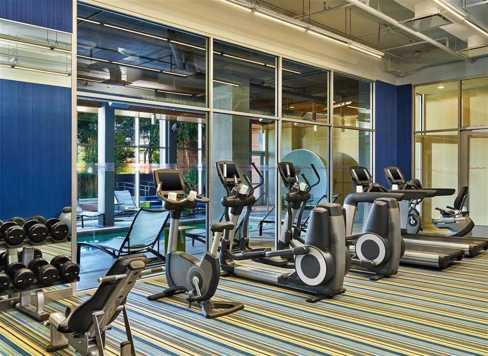 A modern gym with exercise bikes, treadmills, a weight bench, and dumbbells on a rack, with large windows and colorful striped carpet.