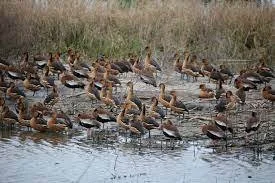 anwr3.jpg