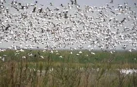 anwr4.jpg