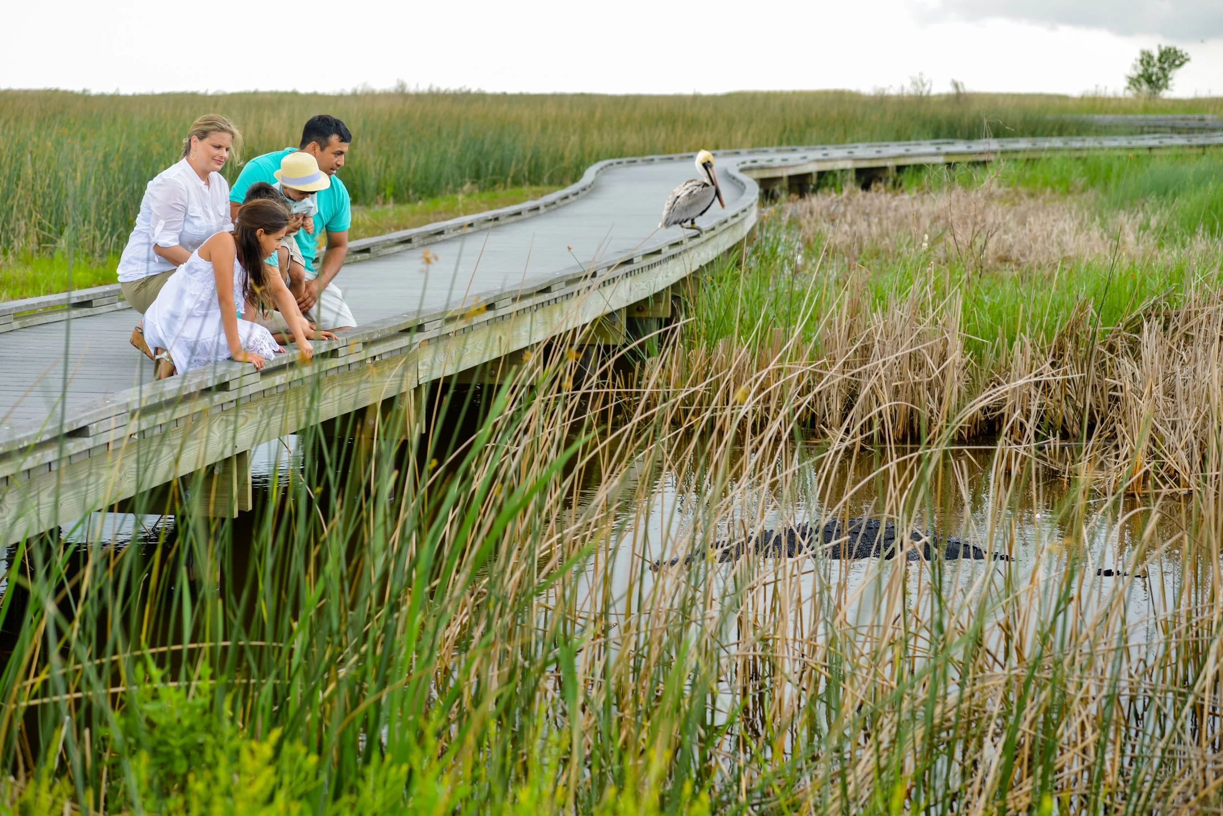anwr6.jpg