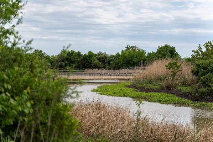 Anahuac National Wildlife Refuge