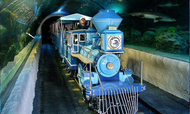 aqua-p4.jpg