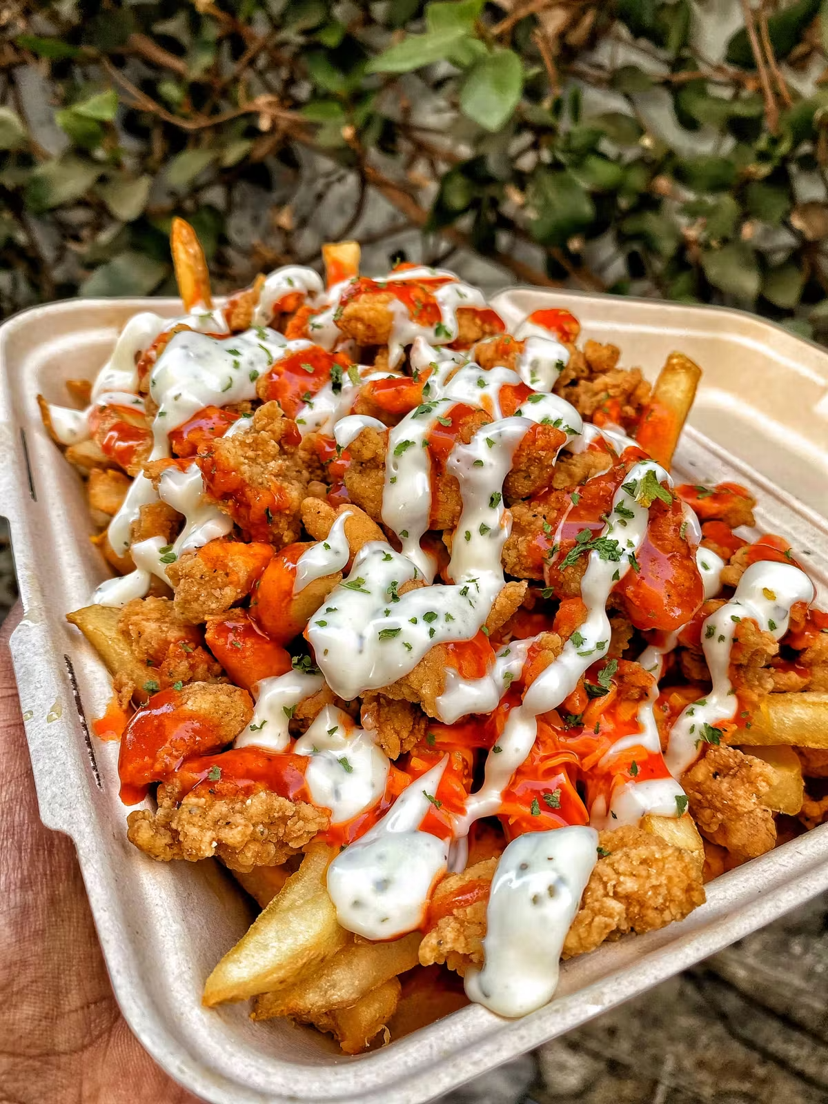 Mr. Fries Man