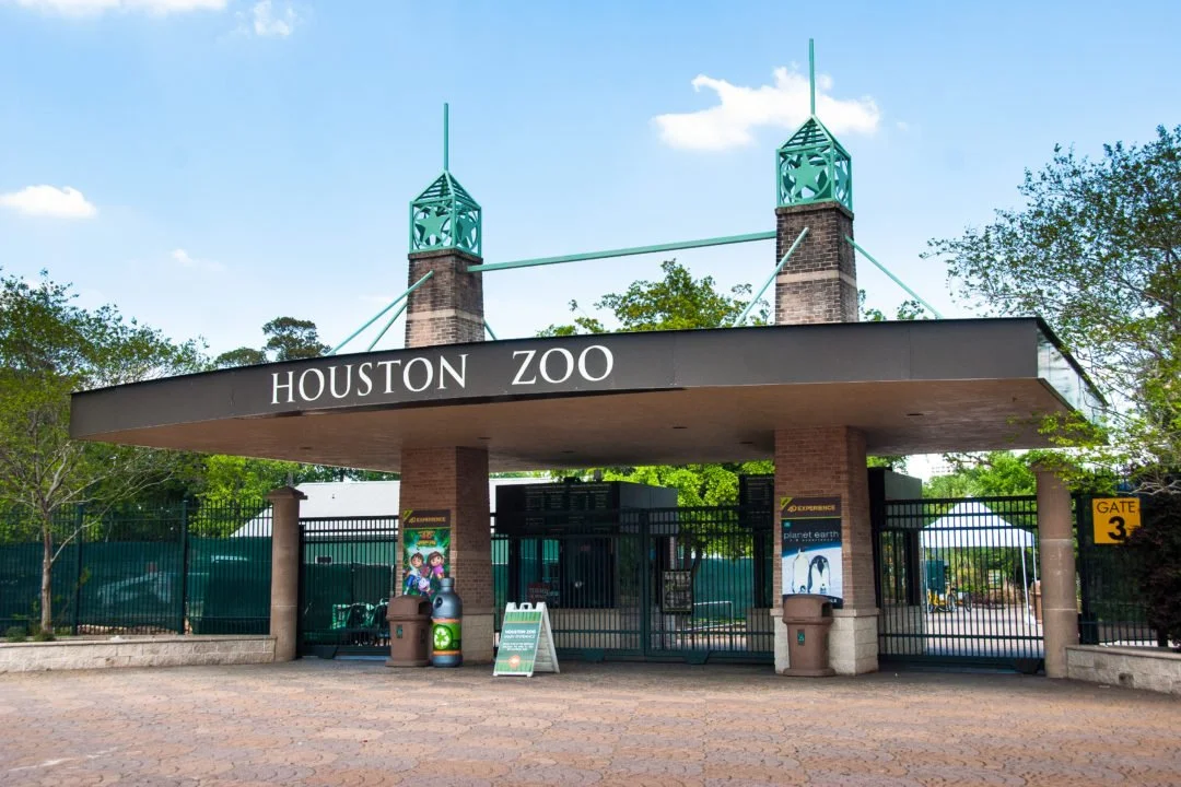zoo6.jpg