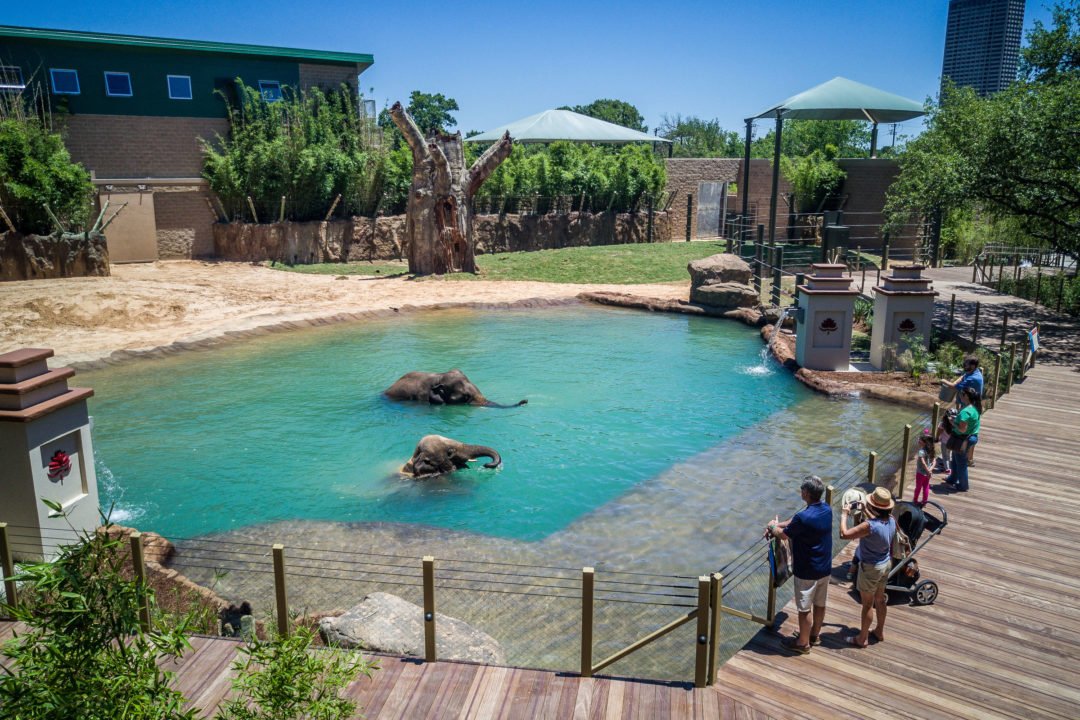 zoo1.jpg