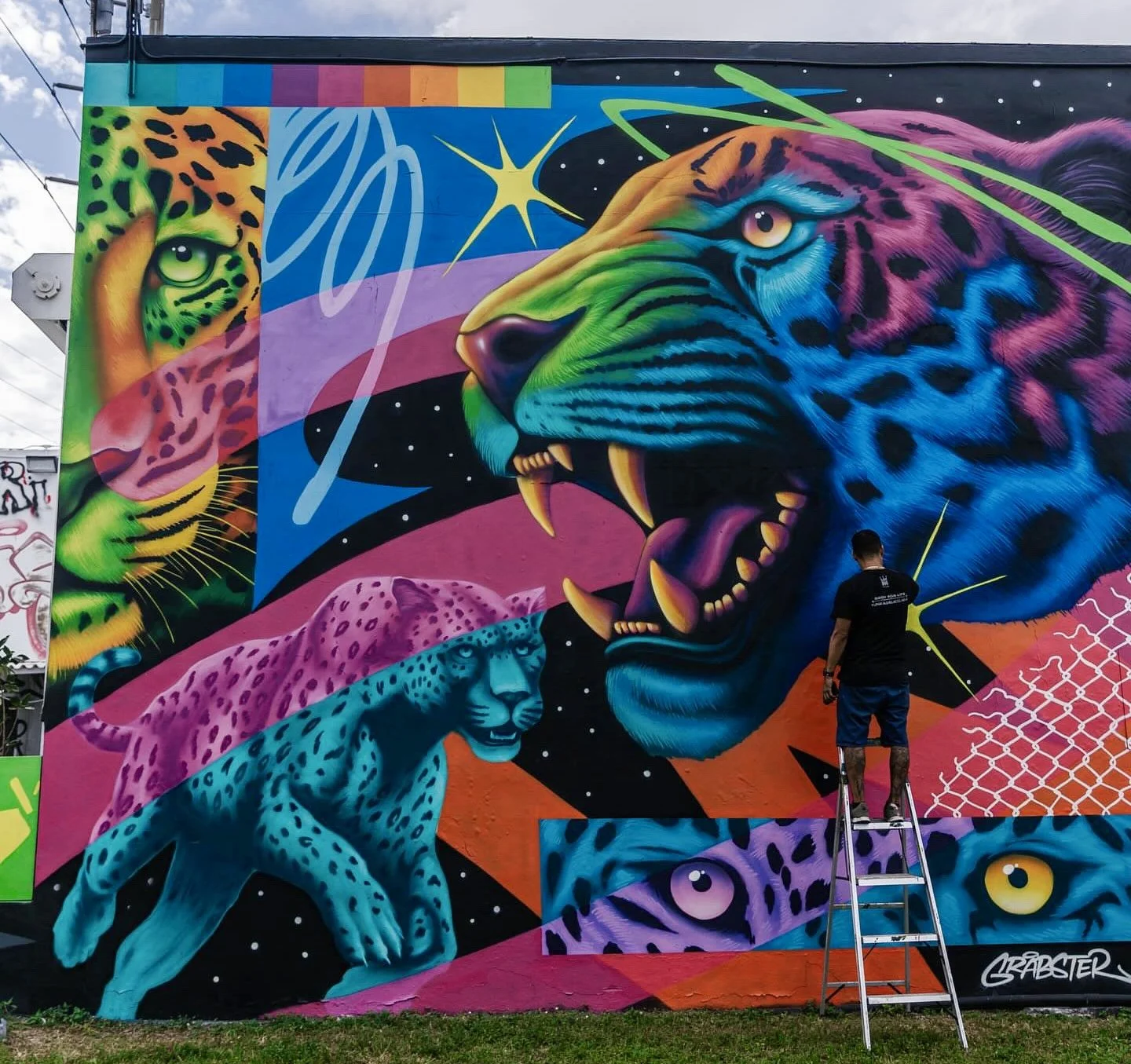 Murals