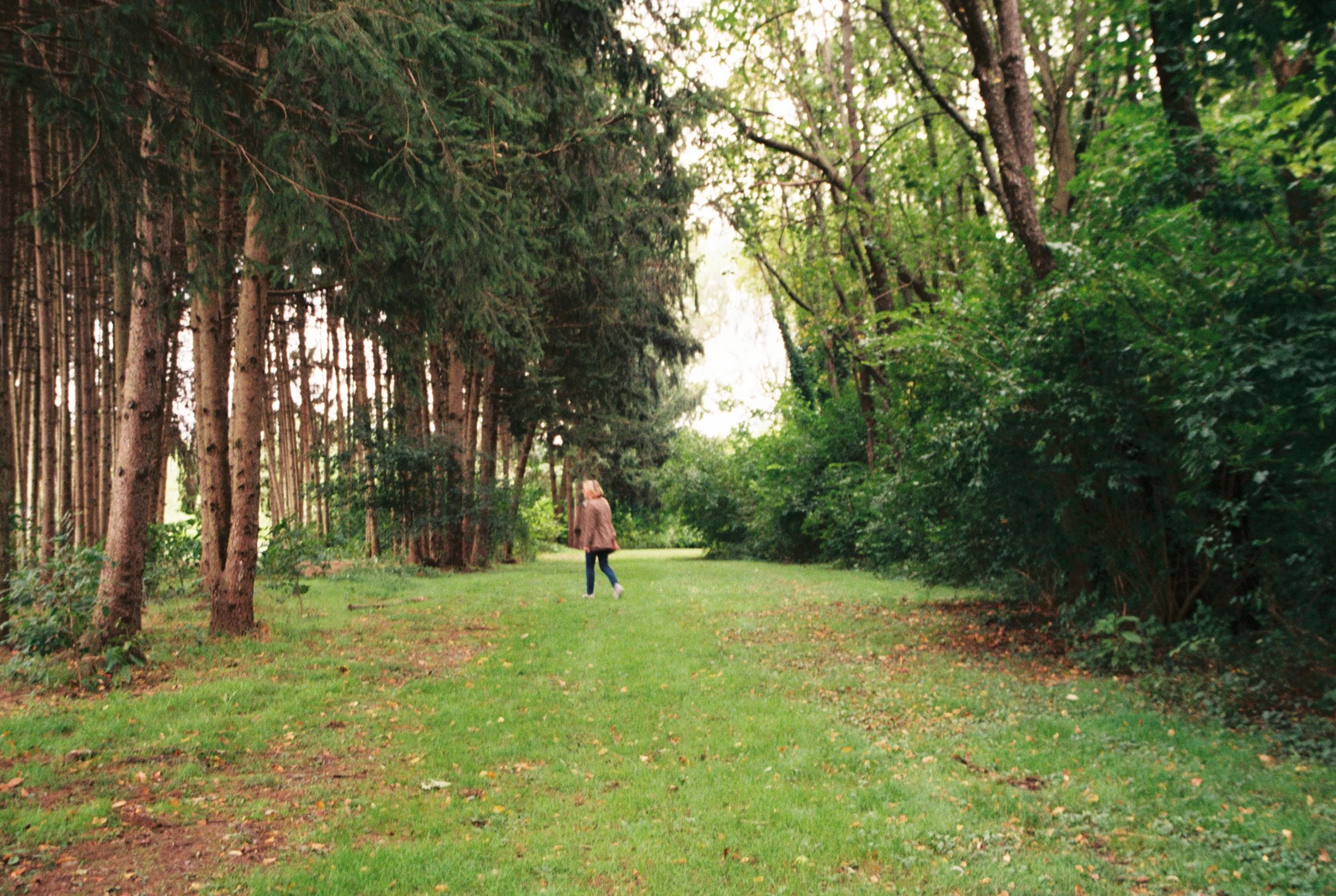 A person walking on a grassy path through a lush, wooded area with tall trees and dense green foliage on either side.