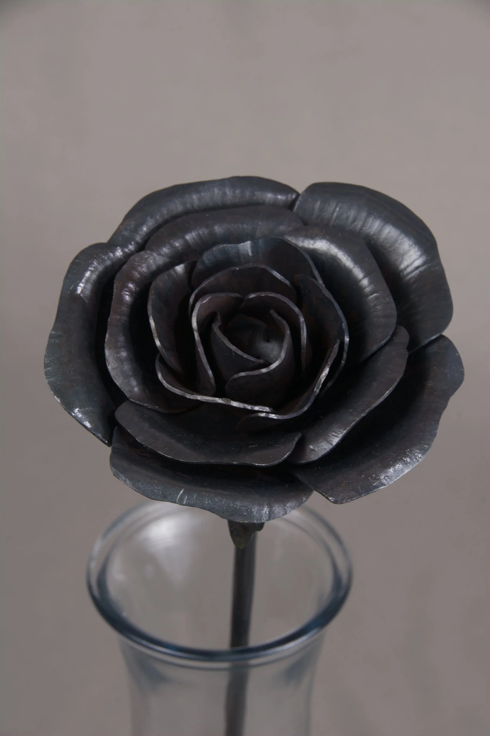 Rose Flower
