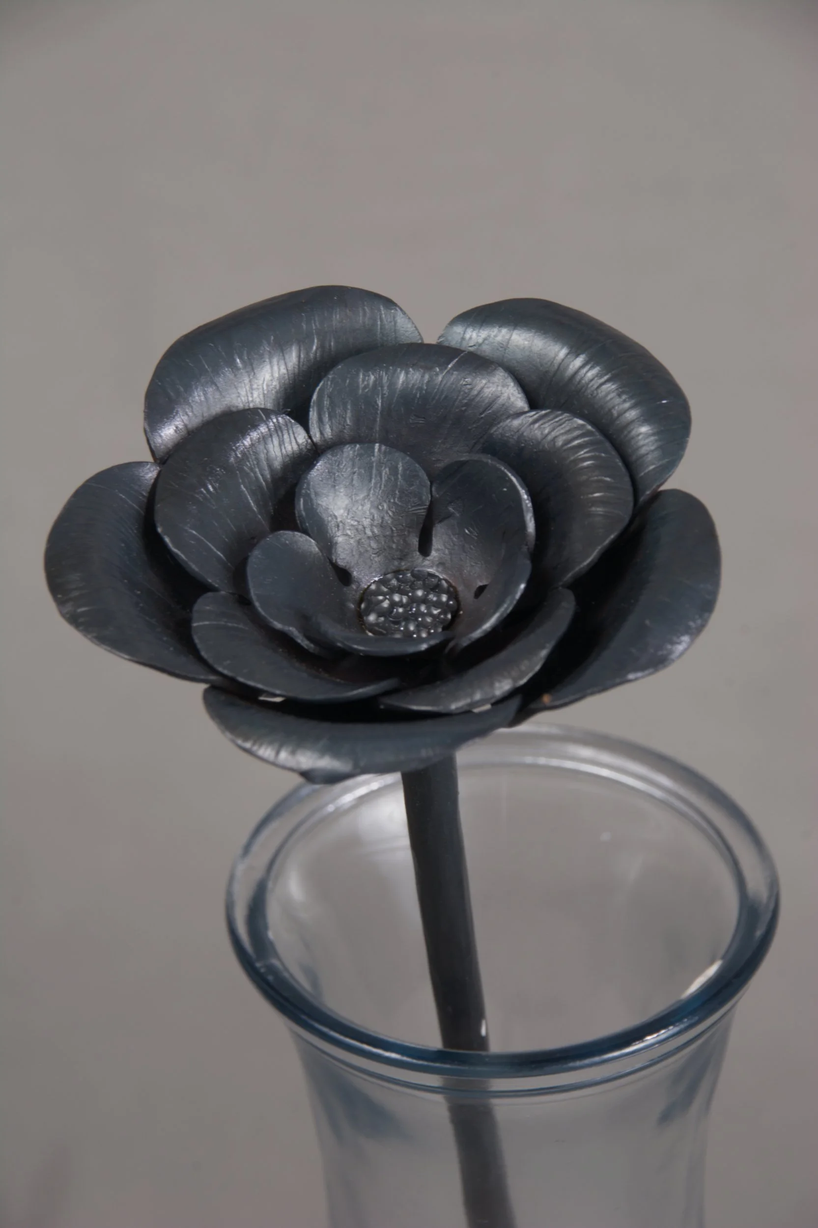 Anemone Flower