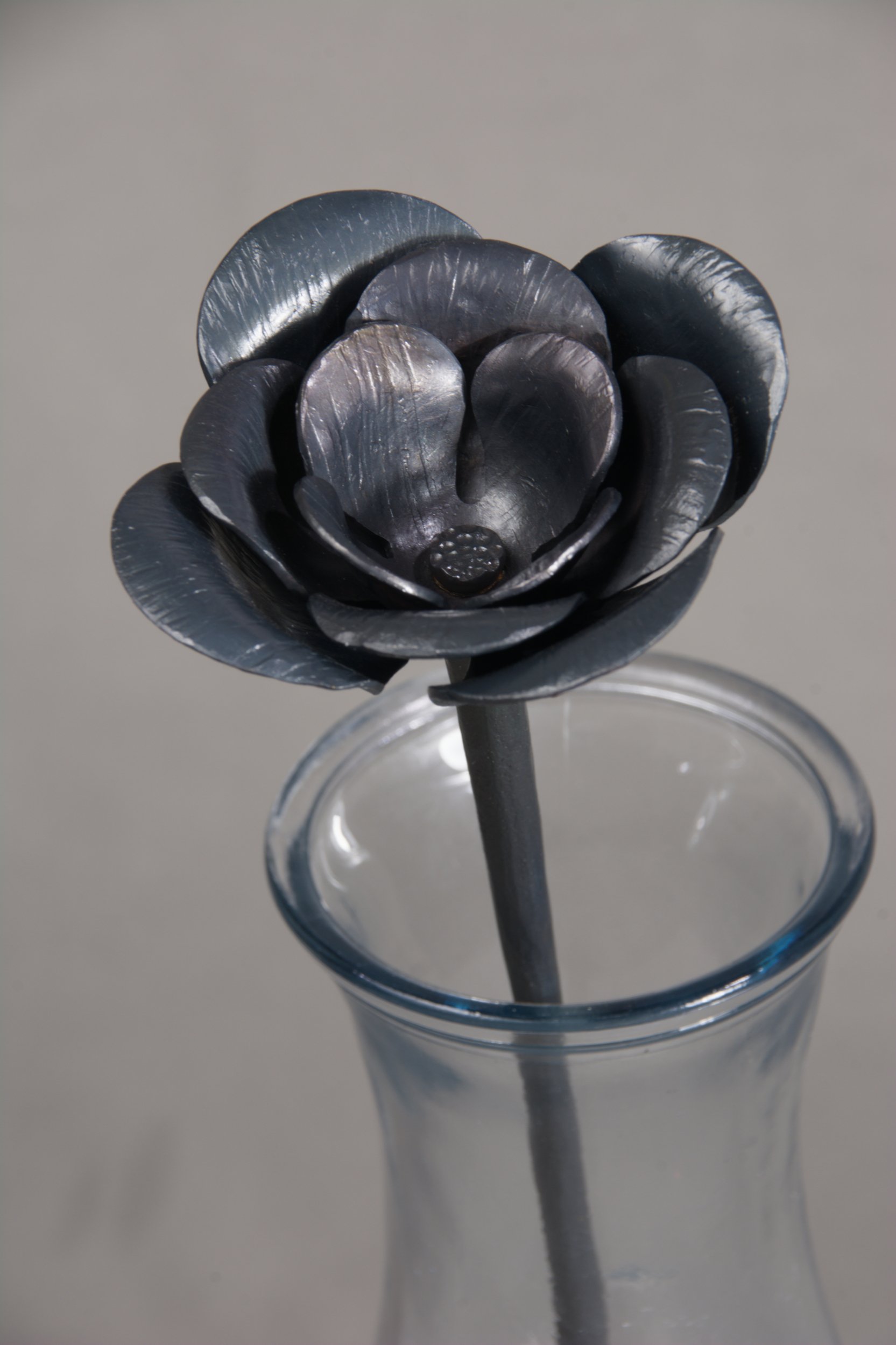 Poppy Flower